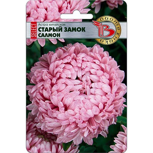 Астра Старый замок SELECT Салмон, семена артикул фото 1 Астра Старый замок SELECT Салмон, семена изображение 1 артикул 91553