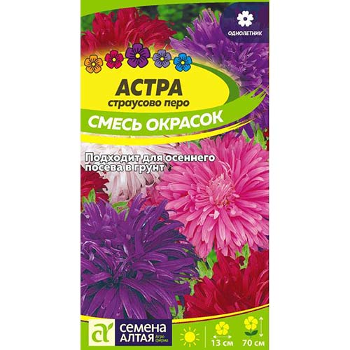 Астра Страусово перо, смесь окрасок Семена Алтая изображение 1 артикул 84741