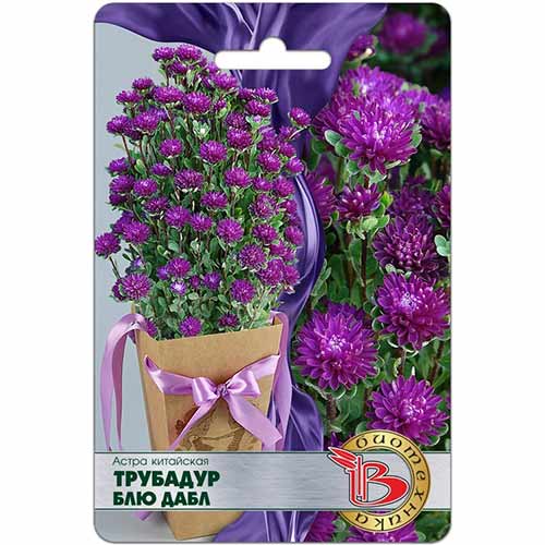 Астра Трубадур Блю Дабл Биотехника изображение 1 артикул 84604