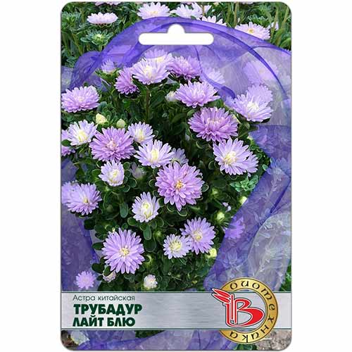 Астра Трубадур Лайт Блю Биотехника артикул фото 1 Астра Трубадур Лайт Блю Биотехника изображение 1 артикул 84606