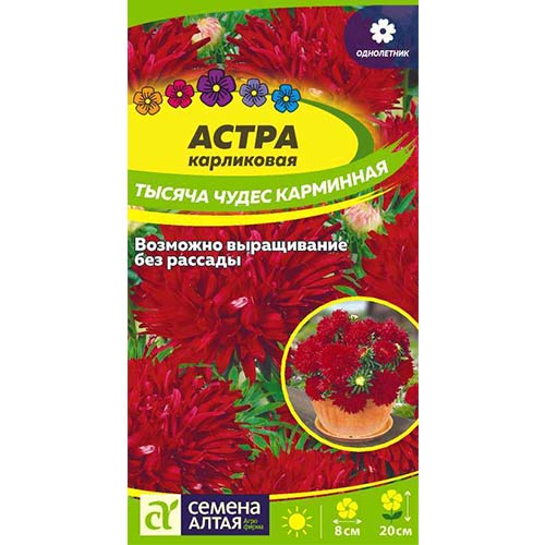 Астра Тысяча чудес карминная Семена Алтая артикул фото 1 Астра Тысяча чудес карминная Семена Алтая изображение 1 артикул 84799