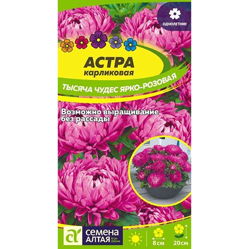 Астра Тысяча чудес, смесь окрасок Семена Алтая изображение 1 артикул 84742