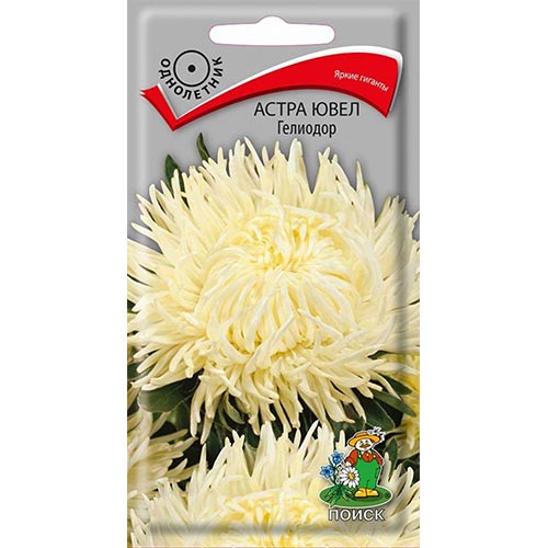 Астра Ювел Гелиодор, семена артикул фото 1 Астра Ювел Гелиодор, семена изображение 1 артикул 92890