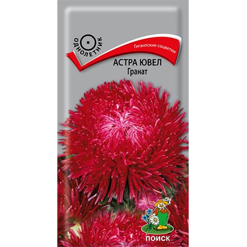 Астра Ювел Гранат, семена изображение 1 артикул 92891