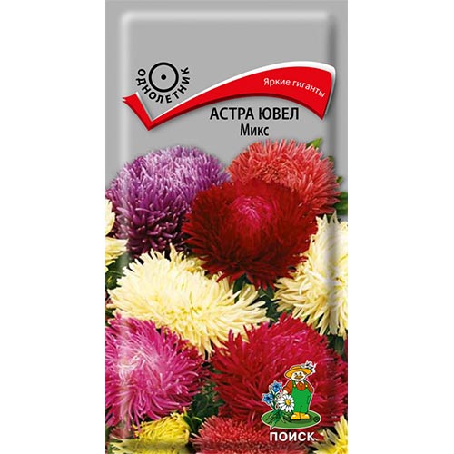 Астра Ювел, смесь окрасок артикул фото 1 Астра Ювел, смесь окрасок изображение 1 артикул 92893