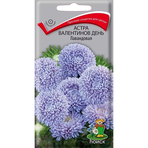 Астра Валентинов день Лавандовая, семена артикул фото 1 Астра Валентинов день Лавандовая, семена изображение 1 артикул 92874