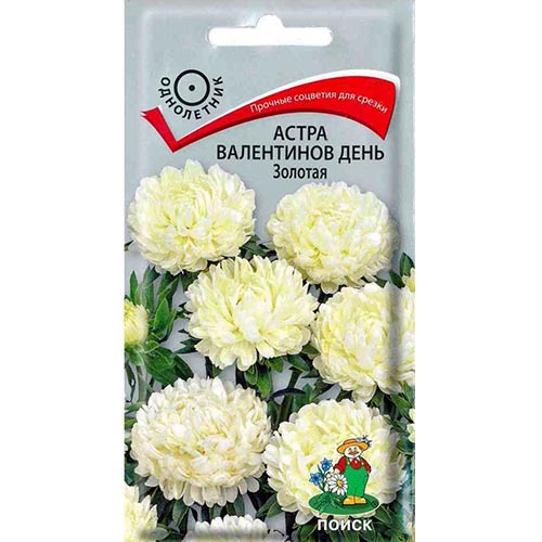 Астра Валентинов день Золотая, семена артикул фото 1 Астра Валентинов день Золотая, семена изображение 1 артикул 92873