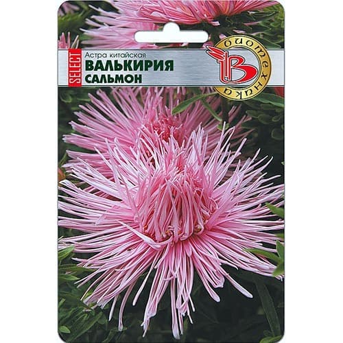 Астра Валькирия SELECT Сальмон, семена артикул фото 1 Астра Валькирия SELECT Сальмон, семена изображение 1 артикул 91545