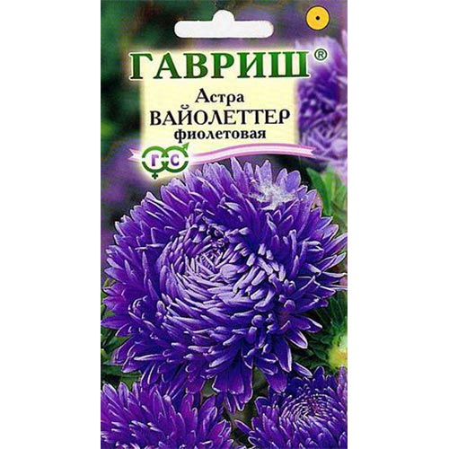 Астра Вайолеттер фиолетовая, семена артикул фото 1 Астра Вайолеттер фиолетовая, семена изображение 1 артикул 91916