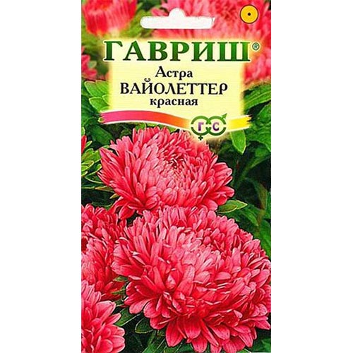 Астра Вайолеттер красная, семена артикул фото 1 Астра Вайолеттер красная, семена изображение 1 артикул 91915