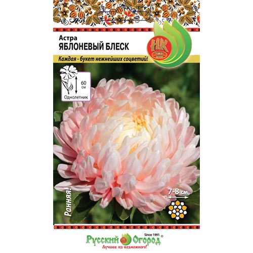 Астра Яблоневый блеск, семена артикул фото 1 Астра Яблоневый блеск, семена изображение 1 артикул 92455