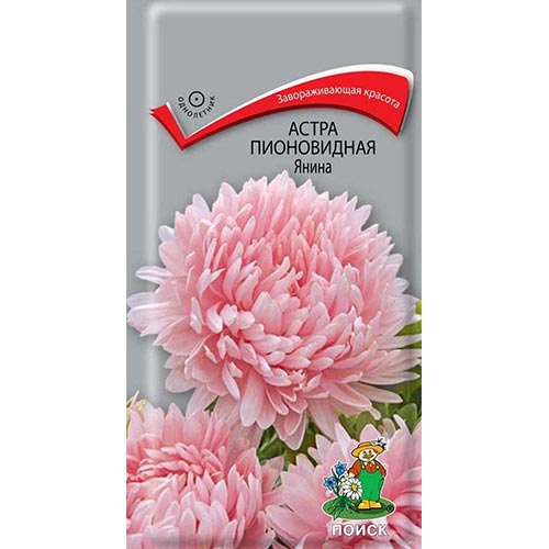 Астра Янина, семена артикул фото 1 Астра Янина, семена изображение 1 артикул 92894