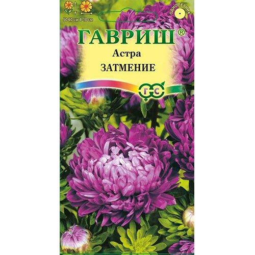 Астра Затмение, семена артикул фото 1 Астра Затмение, семена изображение 1 артикул 91926