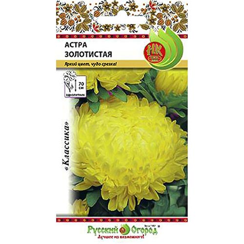 Астра Золотистая, семена артикул фото 1 Астра Золотистая, семена изображение 1 артикул 92425