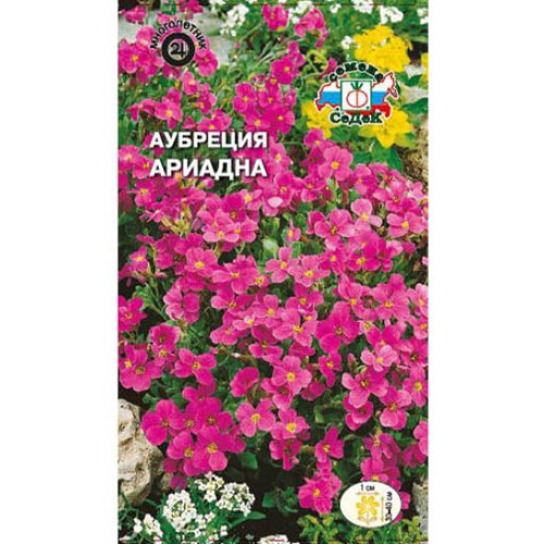 Аубреция Ариадна, семена изображение 1 артикул 93653