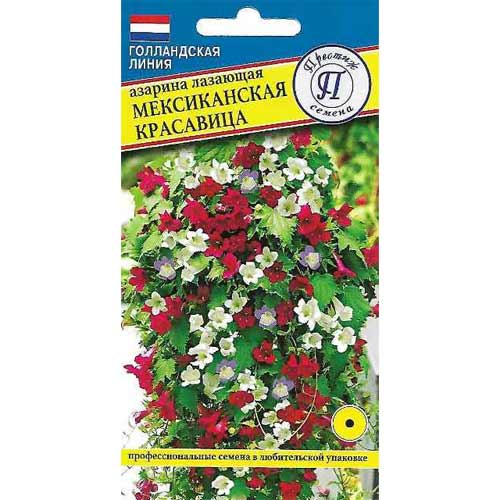 Азарина Мексиканская красавица, смесь окрасок Престиж изображение 1 артикул 73614