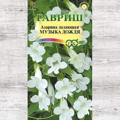 Азарина Музыка дождя Гавриш изображение 1 артикул 74943