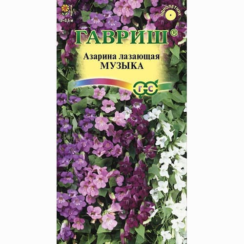 Азарина Музыка, смесь окрасок Гавриш артикул фото 1 Азарина Музыка, смесь окрасок Гавриш изображение 1 артикул 74945