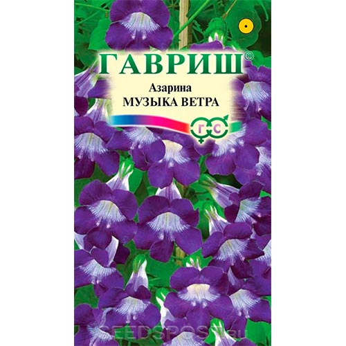 Азарина Музыка ветра, семена изображение 1 артикул 91880