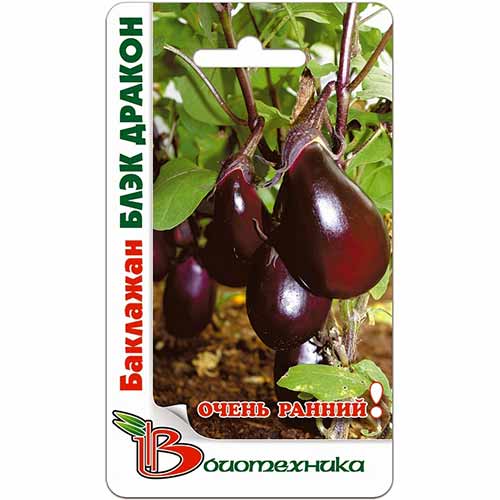 Баклажан Блэк Дракон Биотехника изображение 1 артикул 74792