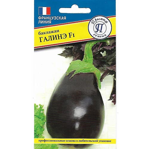 Баклажан Галинэ F1, семена изображение 1 артикул 93211