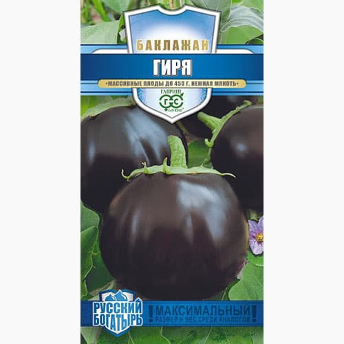 Баклажан Гиря Гавриш изображение 1 артикул 97400