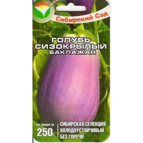 Баклажан Голубь сизокрылый Сибирский сад изображение 1 артикул 82793