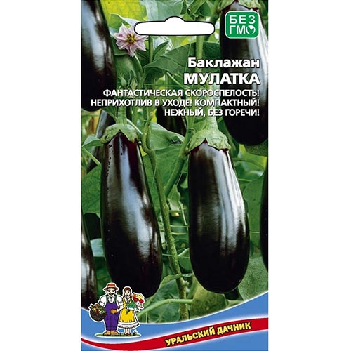 Баклажан Мулатка, семена изображение 1 артикул 94470