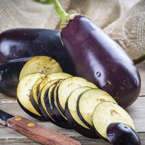 Баклажан Принц Седек изображение 1 артикул 82482