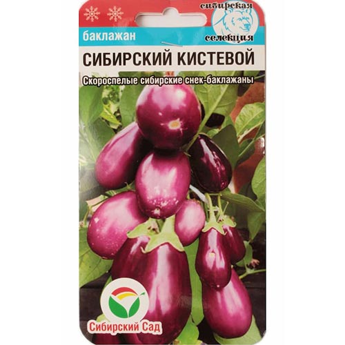 Баклажан Сибирский кистевой Сибирский сад изображение 1 артикул 82796