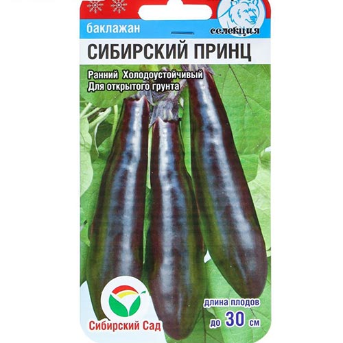 Баклажан Сибирский принц Сибирский Сад изображение 1 артикул 65395