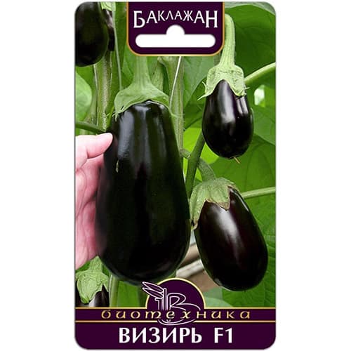 Баклажан Визирь F1 Биотехника изображение 1 артикул 97122