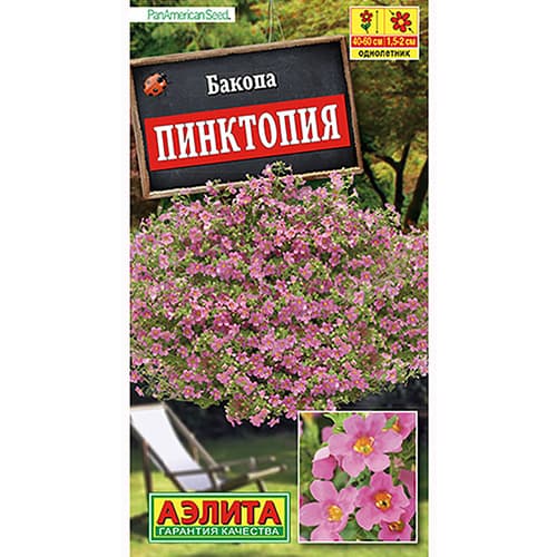 Бакопа Пинктопия Аэлита артикул фото 1 Бакопа Пинктопия Аэлита изображение 1 артикул 98863