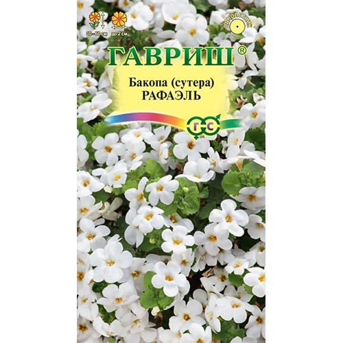 Бакопа Рафаэль, семена артикул фото 1 Бакопа Рафаэль, семена изображение 1 артикул 91952
