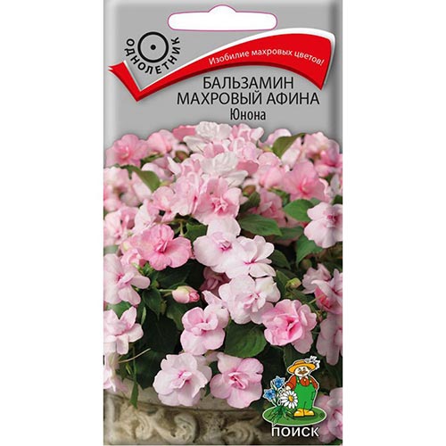 Бальзамин Афина Юнона, семена изображение 1 артикул 92899