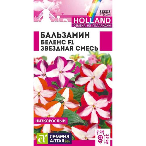 Бальзамин Беленс Звездная смесь F1, смесь окрасок Семена Алтая изображение 1 артикул 78256