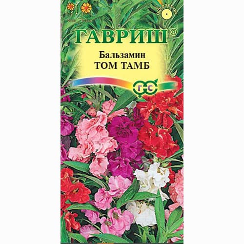Бальзамин Том Тамб, смесь окрасок Гавриш артикул фото 1 Бальзамин Том Тамб, смесь окрасок Гавриш изображение 1 артикул 82318