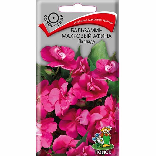 Бальзамин махровый Афина Паллада Поиск изображение 1 артикул 82073