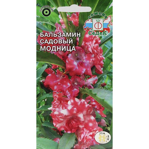 Бальзамин Модница, семена артикул фото 1 Бальзамин Модница, семена изображение 1 артикул 93656