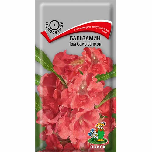Бальзамин Том Самб Салмон Поиск артикул фото 1 Бальзамин Том Самб Салмон Поиск изображение 1 артикул 82076