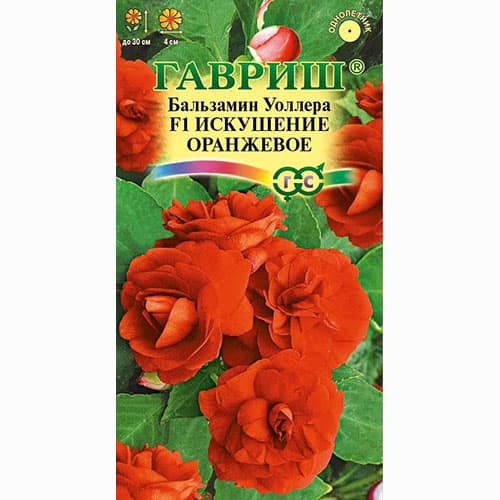 Бальзамин Уоллера Искушение оранжевое F1 Гавриш изображение 1 артикул 71123