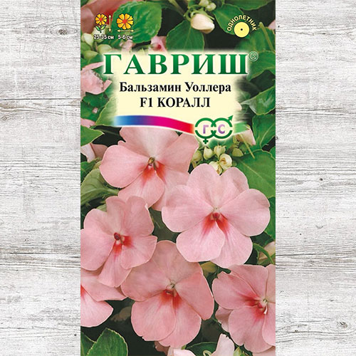 Бальзамин Уоллера Коралл F1 Гавриш артикул фото 1 Бальзамин Уоллера Коралл F1 Гавриш изображение 1 артикул 82319