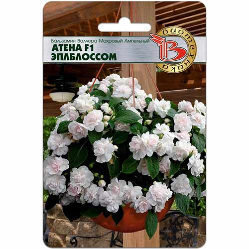 Бальзамин Валлера Атена Эплблоссом F1 Биотехника изображение 1 артикул 84611