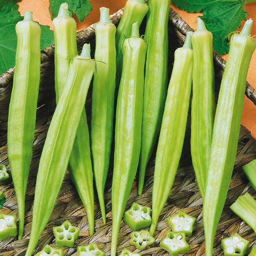 Бамия Бомбей изображение 1 артикул 74018