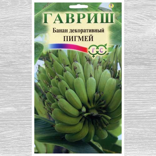 Банан декоративный Пигмей изображение 1 артикул 73719