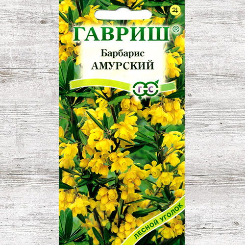 Барбарис амурский Гавриш изображение 1 артикул 82323