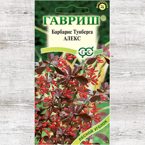 Барбарис Тунберга Алекс Гавриш изображение 1 артикул 82322