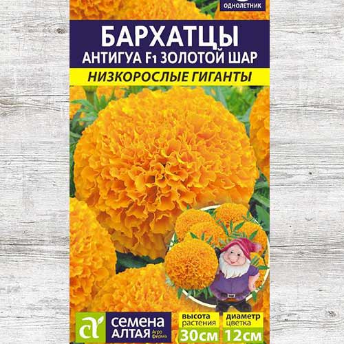 Бархатцы Антигуа Золотой шар F1 изображение 1 артикул 81617