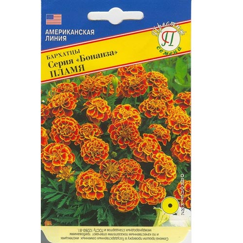 Бархатцы Бонанза Пламя Престиж изображение 1 артикул 81305