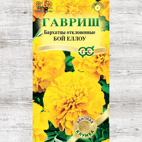 Бархатцы Бой Еллоу Гавриш изображение 1 артикул 82324